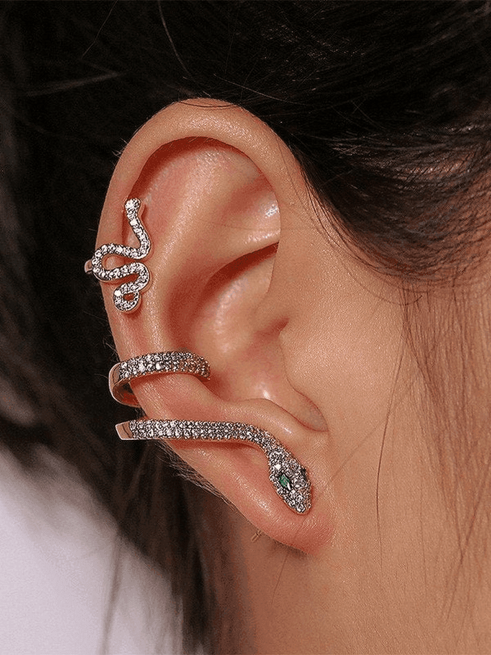 Brownm Rhinestone Snake Pattern Stud Earring