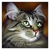 Cat - Full Round Drill Diamond Painting