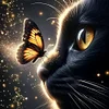 Black Cat Butterfly-Full Round Diamond Painting 30*30CM