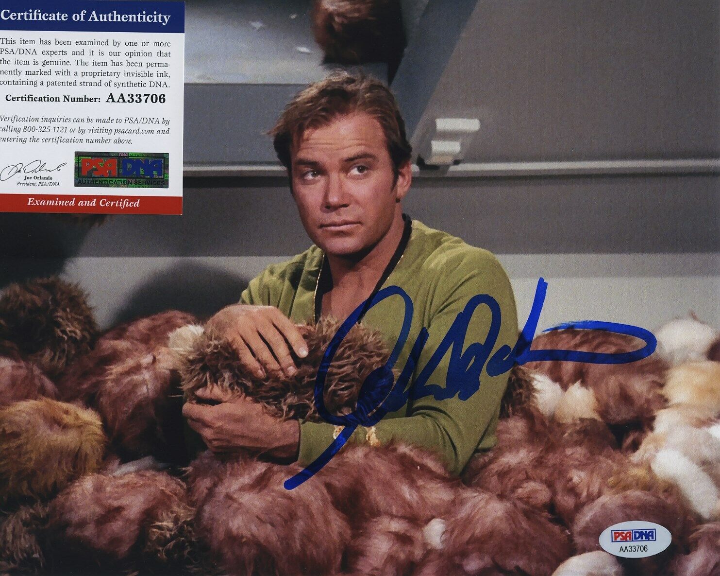 WILLIAM SHATNER STAR TREK SIGNED AUTOGRAPHED COLOR 8X10 Photo Poster painting PSA DNA AA33706