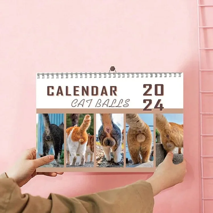 😆Funniest Calendar 2024-Cat Balls |"Artistic Expression" of Furry Friends🐱