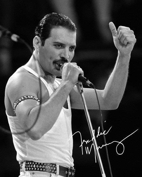 REPRINT - FREDDIE MERCURY Queen Autographed Signed 8 x 10 Photo Poster painting Poster Man Cave