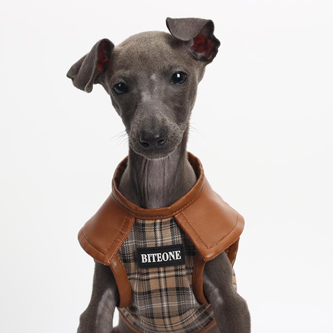 BZPET dog clothes harnesses