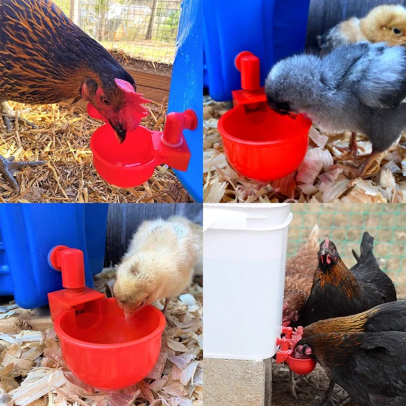(LAST DAY 60 OFF)Automatic Chicken Water Cup