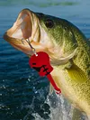 5pcs Metal Spoon Spinner Fishing Lure Fishing Wobblers Artificial Bait for Trout