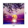 uk.everydayedeals (Limited Stock)Paint By Number - Oil Painting -  Night View (40*40Cm)