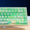 PIIFOX Green Filed Side-printed OEM Profile Keycap Set
