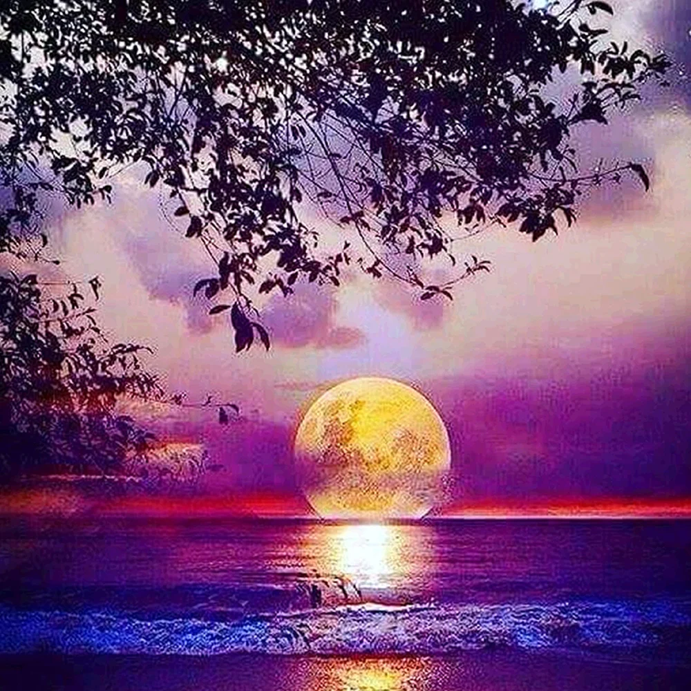 Diamond Painting - Full Round/Square Drill - Moon(30*30 - 50*50cm)