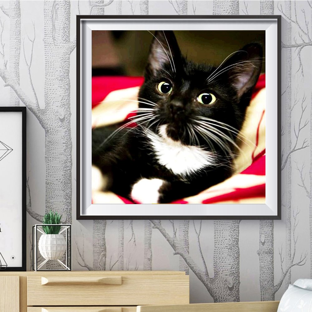 Diamond Painting - Full Round - Whisker Black Cat