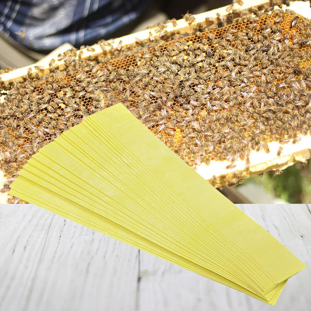 20x Fluvalinate Bee Mite Killer Strips Beekeeping Anti Insect Pest Miticide