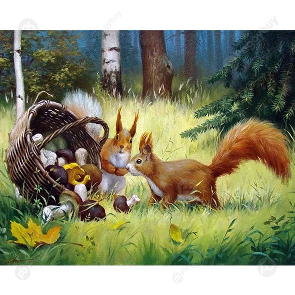 

40*50CM Paint By Numbers-Squirrel, 501 Original