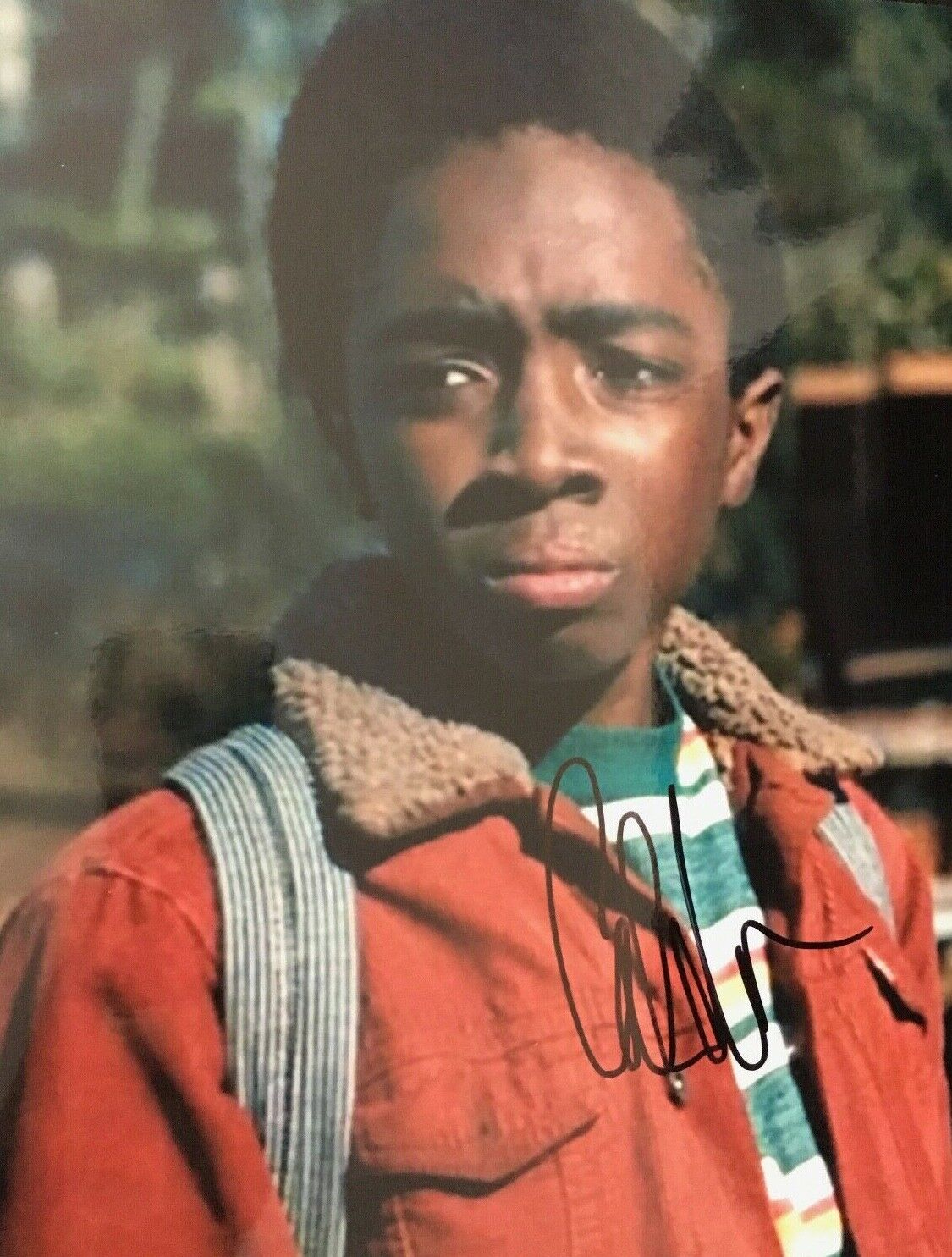 CALEB MCLAUGHLIN - STRANGER THINGS TV SERIES ACTOR - SIGNED COLOUR Photo Poster paintingGRAPH