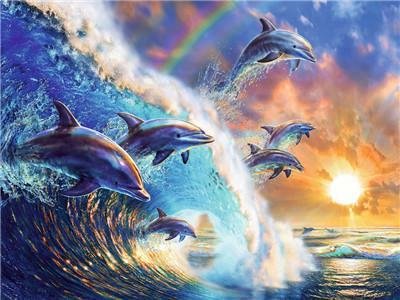 Animal Dolphin Paint By Numbers Kits UK For Adult Y5743