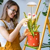 Full Spectrum Grow Lights Height Adjustable Plant Growing Lamp for Indoor Plants