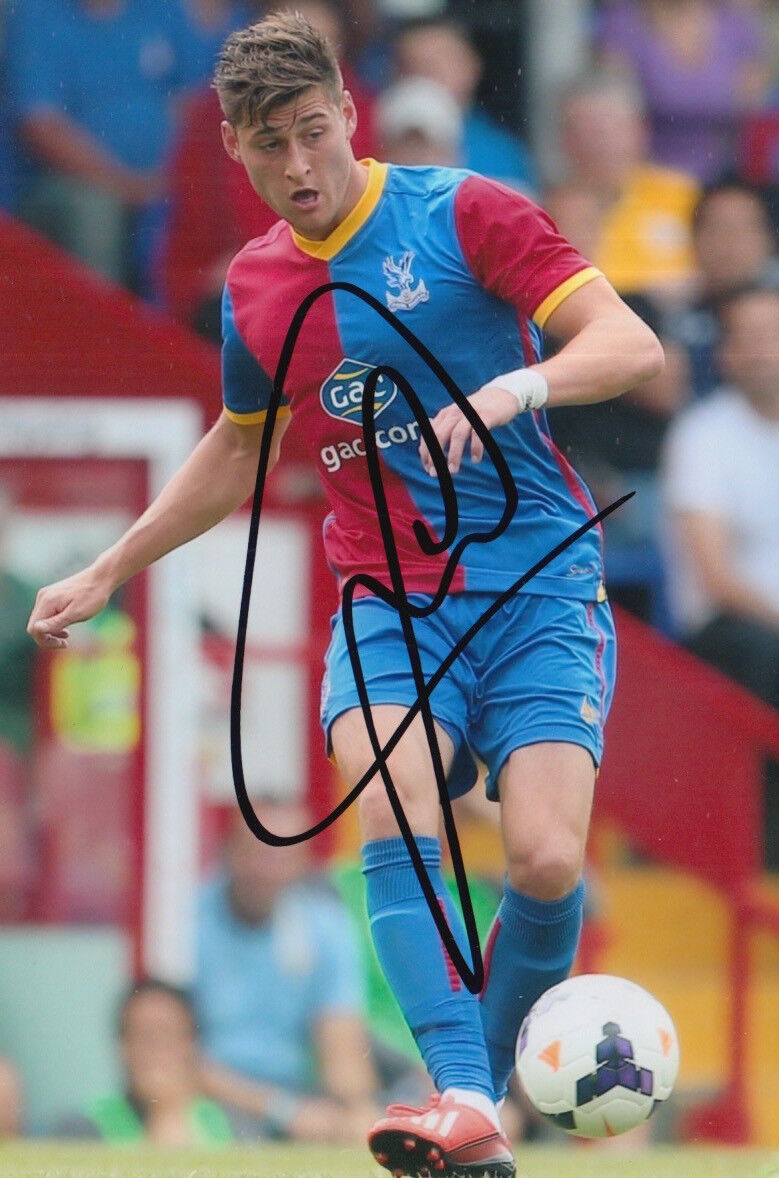 CRYSTAL PALACE HAND SIGNED JOEL WARD 6X4 Photo Poster painting 2.