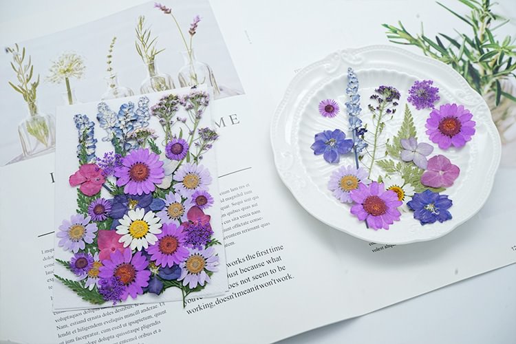 Resin Dried Pressed Flowers