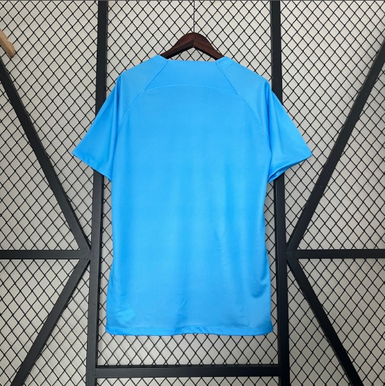 2024 Netherlands Special Edition Football Shirt Thai Quality