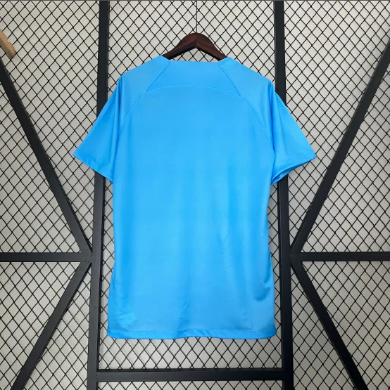 2024 Netherlands Special Edition Football Shirt Thai Quality