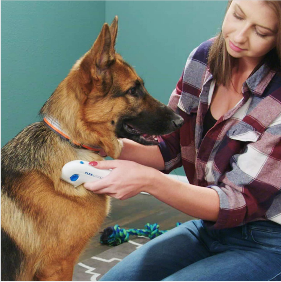 Electric Brush Comb For Pets: Removal Of Head Lice