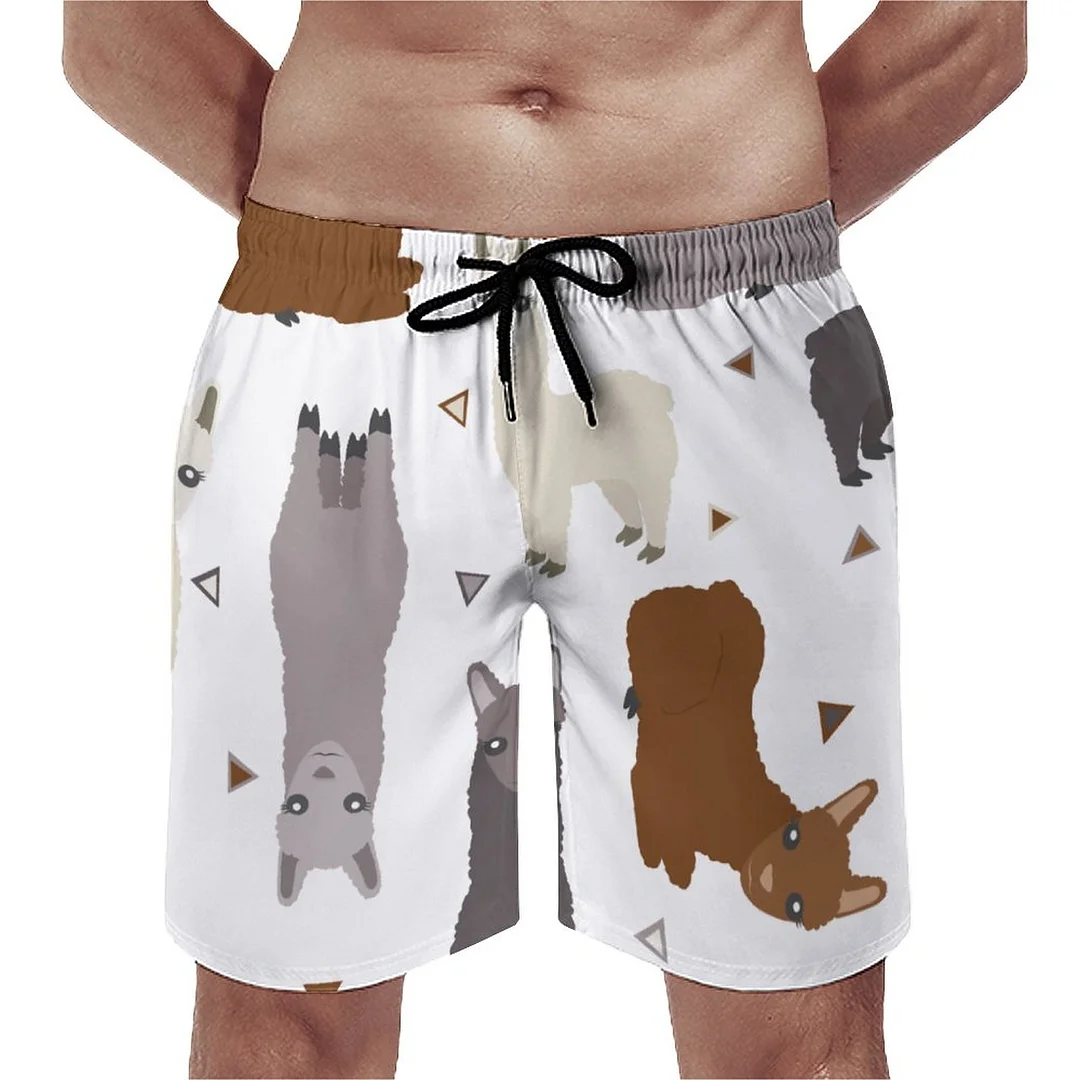 Alpacas Geo Animal Men's Swim Trunks Summer Board Shorts Quick Dry Beach Short with Pockets