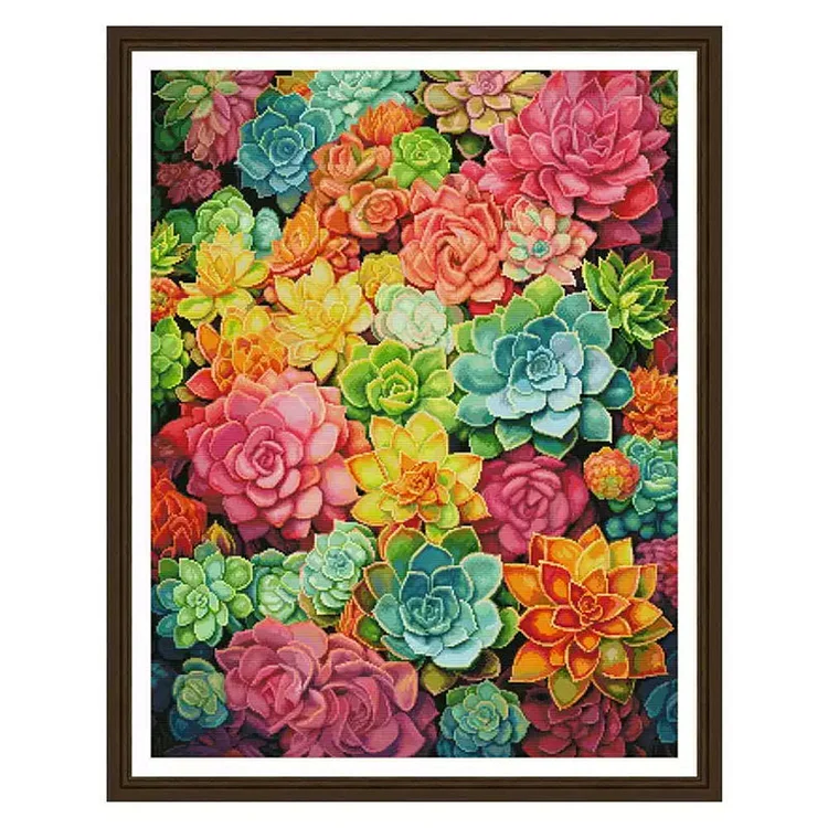 Spring-Colorful Succulents- 14CT - 2 Strands Threads Printed cross stitch - 60*75cm(Canvas)
