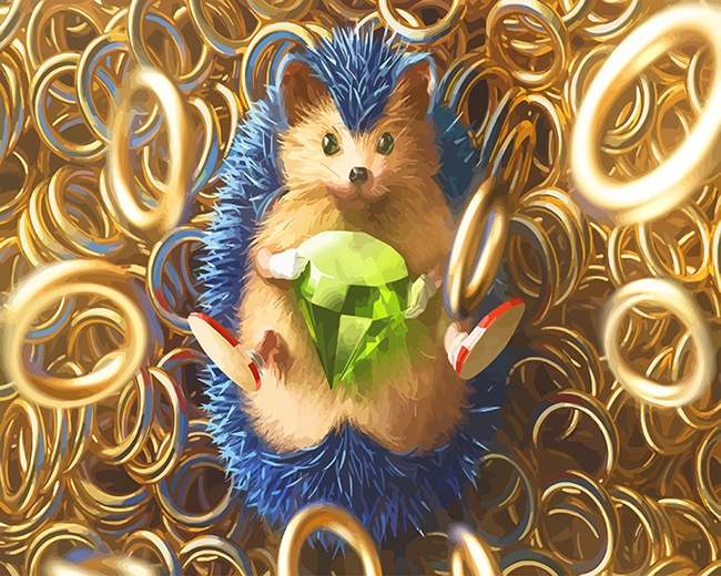 

Sonic The Hedge – Paint By Numbers - 40*50CM, 501 Original