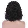 2019 NEW GLUELESS BASIC CAP LACE  SHORT CURLY WIG