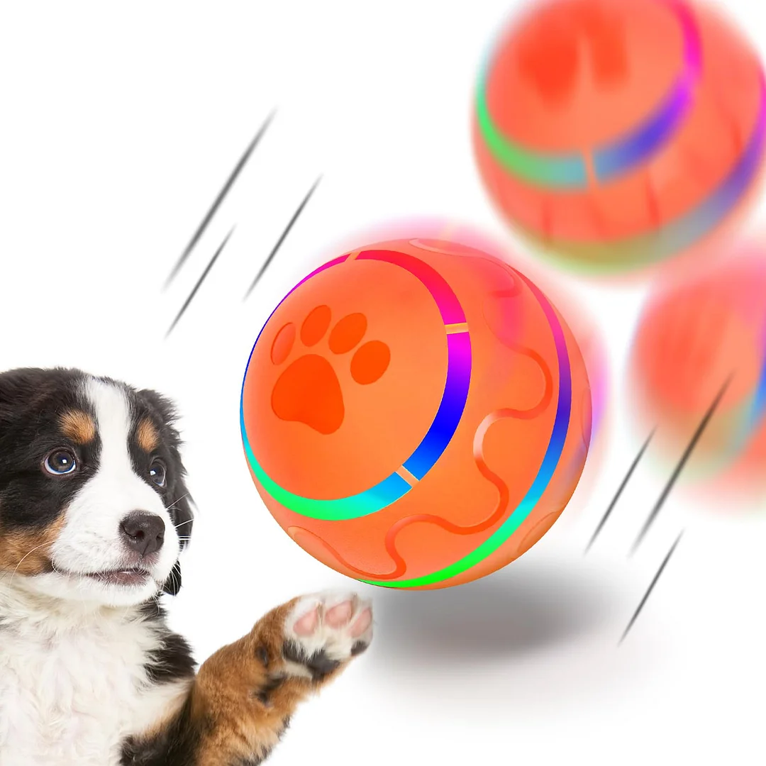 Orange Toy Ball Automatic Version for Pet