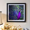 Purple Peacock - Full Round Drill Diamond Painting