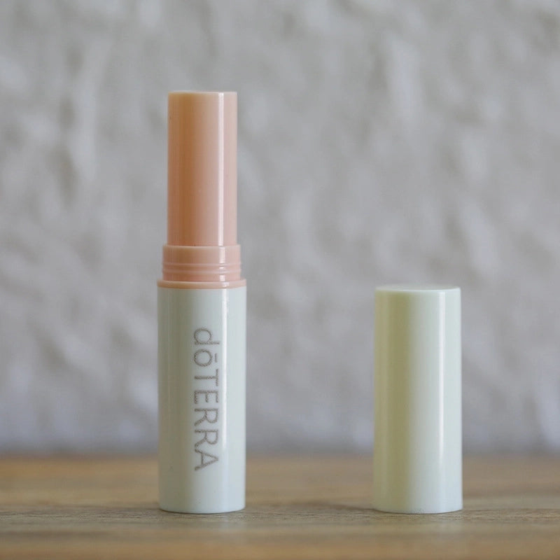 Minimalist Color Block Plastic Lipstick Tube 1 Piece