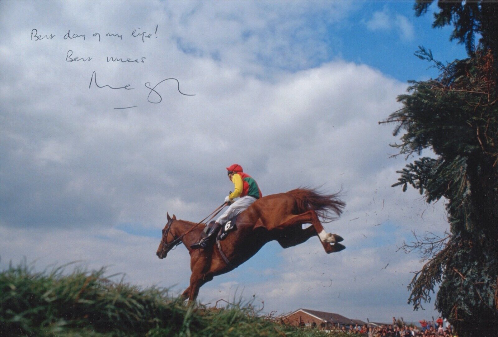 MARCUS ARMYTAGE HAND SIGNED 12X8 Photo Poster painting MR FRISK HORSE RACING AUTOGRAPH 5