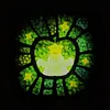 Whimsical LED Art Frame Night Light, Rechargeable Illuminated Decor