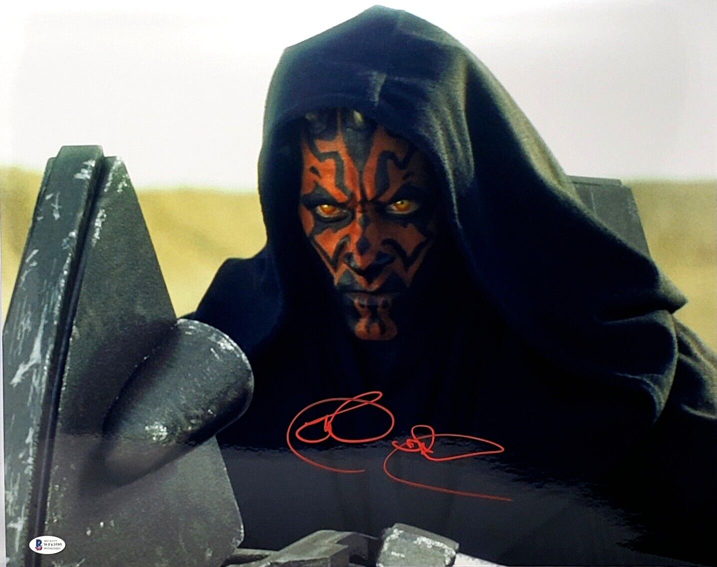 RAY PARK Signed Auto STAR WARS DARTH MAUL