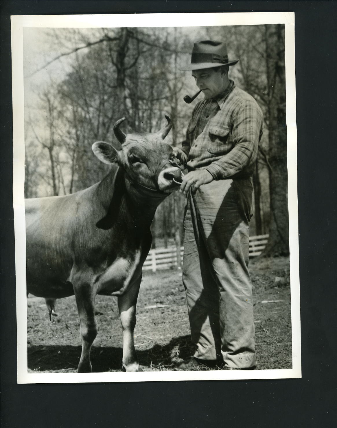 Bill Terry farming and dairying in Memphis 1943 Press Photo Poster painting New York Giants