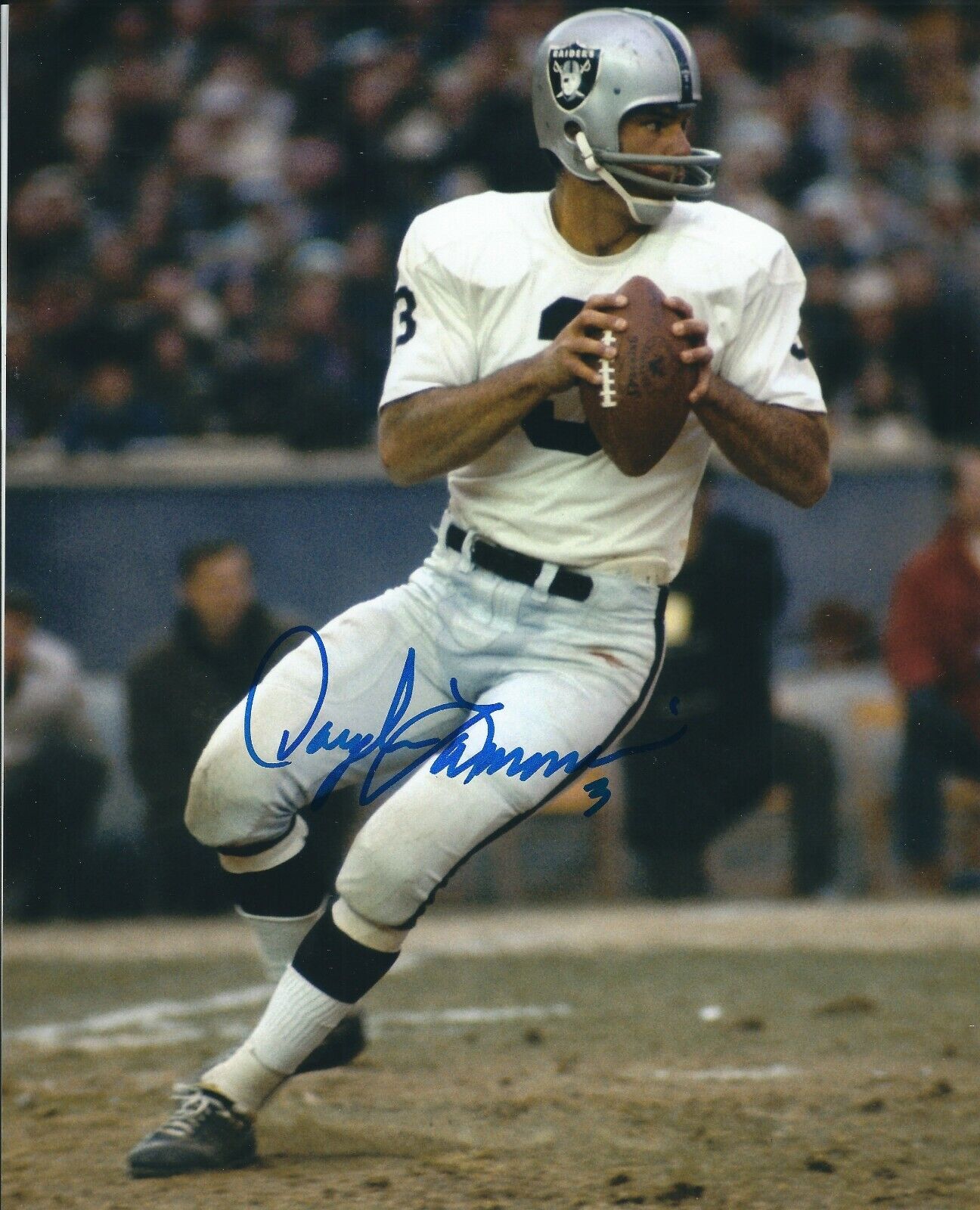 Autographed DARYLE LAMONICA Oakland Raiders 8x10 Photo Poster painting w/COA