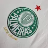 2024/2024 Palmeiras Away Football Shirt 1:1 Thai Quality