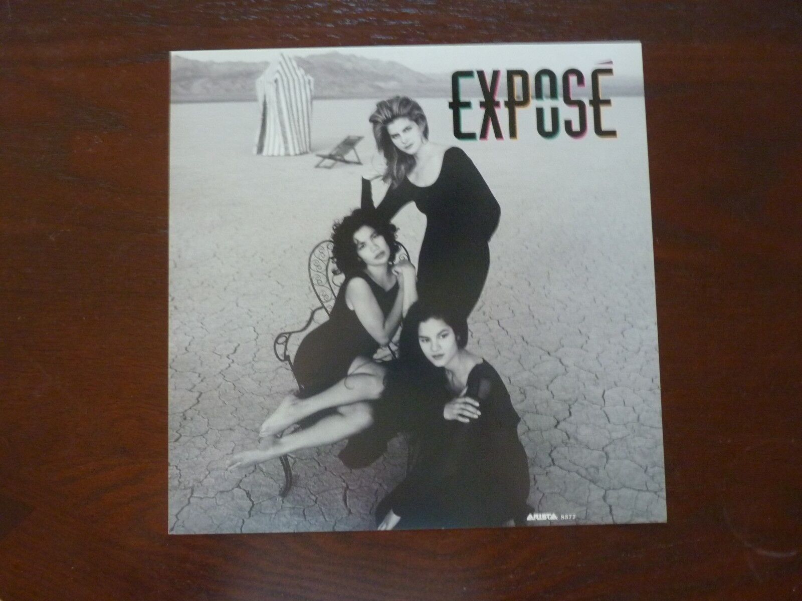 Espose 1992 LP Record Photo Poster painting Flat 12x12 Poster