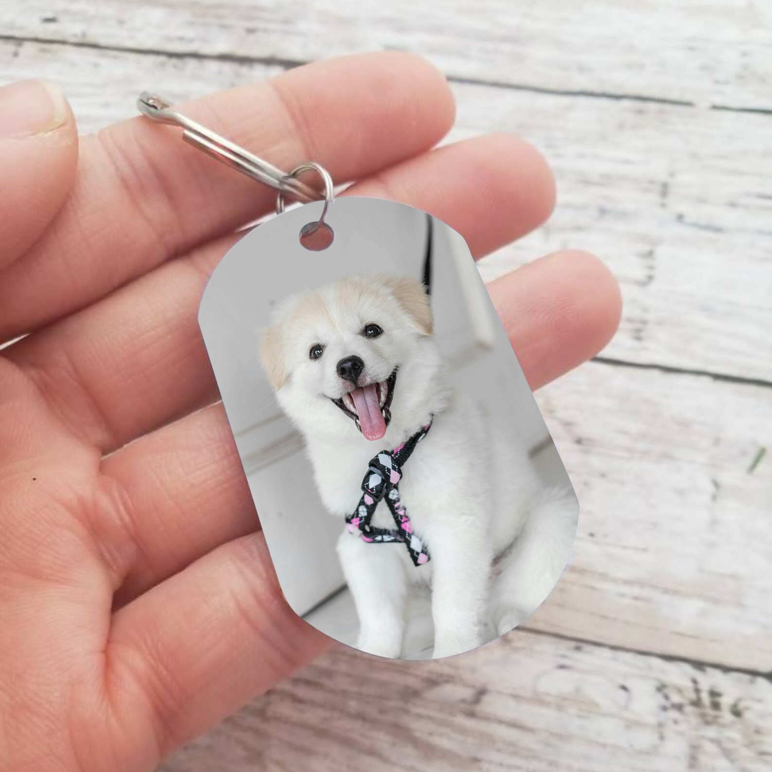 Personalised 2 Names & 1 Photo Keychain Custom Dog/Cat Paw Keychain Gift for Pet Lovers-Jessemade AU