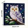 DIY Pre-Framed Owl Button Art Canvas Kit