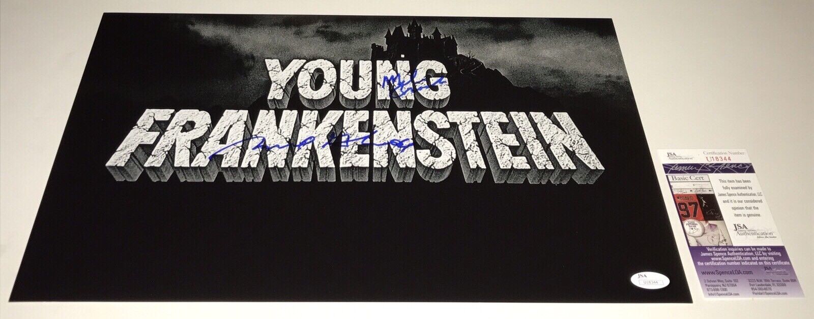 Mel Brooks & Michael Gruskoff YOUNG FRANKENSTEIN Signed 11x17 Photo Poster painting JSA COA