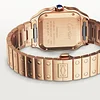 SANTOS DE CARTIER WATCH WGSA0031