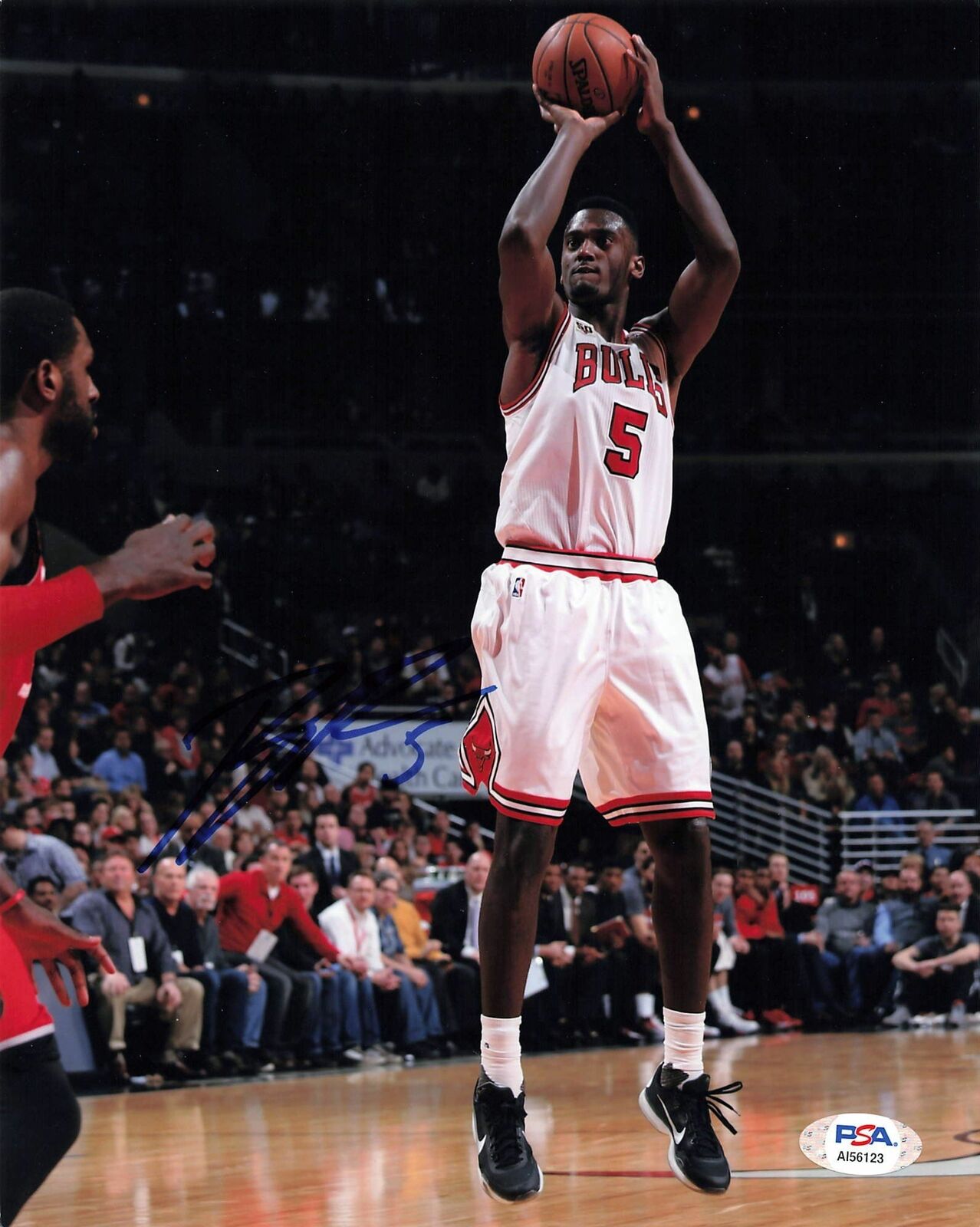 Bobby Portis signed 8x10 Photo Poster painting PSA/DNA Chicago Bulls Autographed