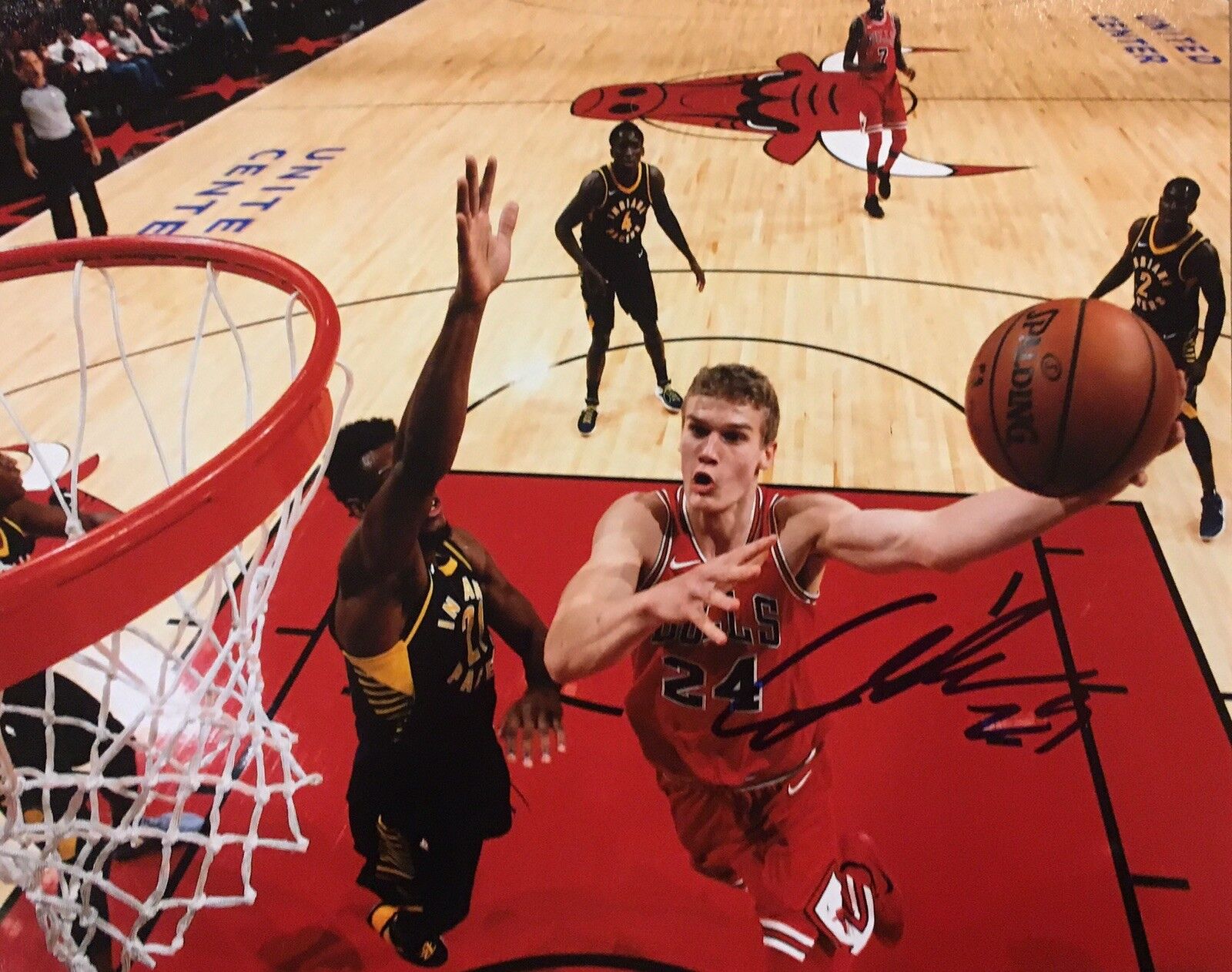 PROOF! LAURI MARKKANEN Signed Autographed 8x10 Photo Poster painting CHICAGO BULLS Arizona