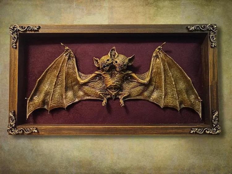 💀LOWEST PRICE IN HISTORY💀Two Headed Bat Shadow Box Display Taxidermy Oddity