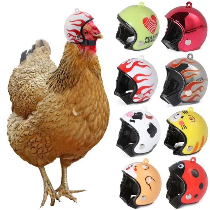 Helmet for Chicken Pet Protective Accessory