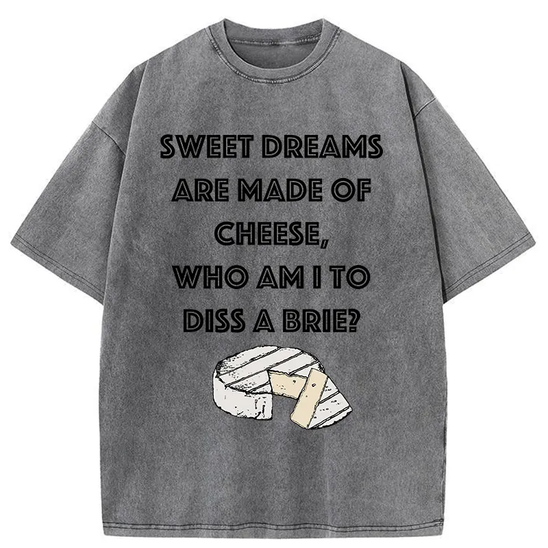 Funny Cheese Music Washed T-shirt artswardrobe