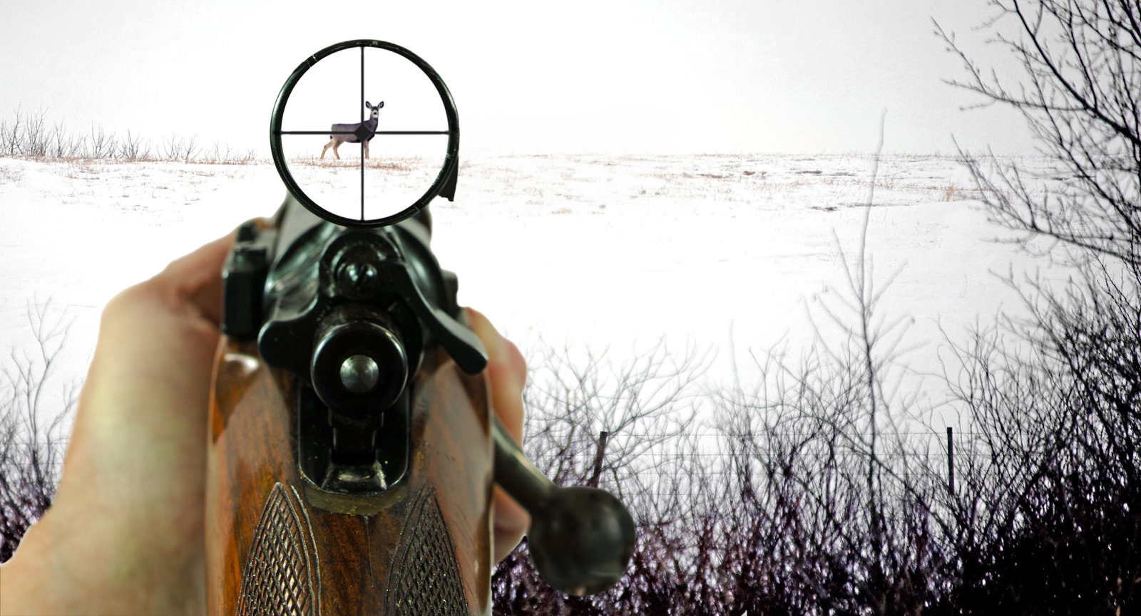 EVERYTHING ABOUT HUNTING TIPS Hunting Is A Popular Outdoor Activity ...