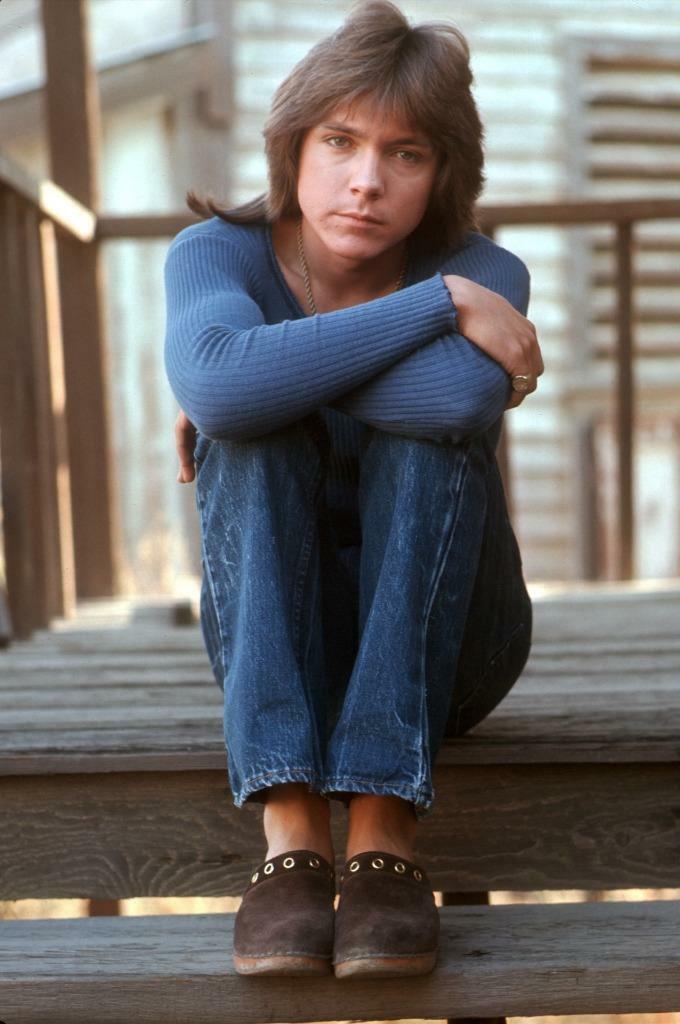 David Cassidy 8x10 Picture Simply Stunning Photo Poster painting Gorgeous Celebrity #10