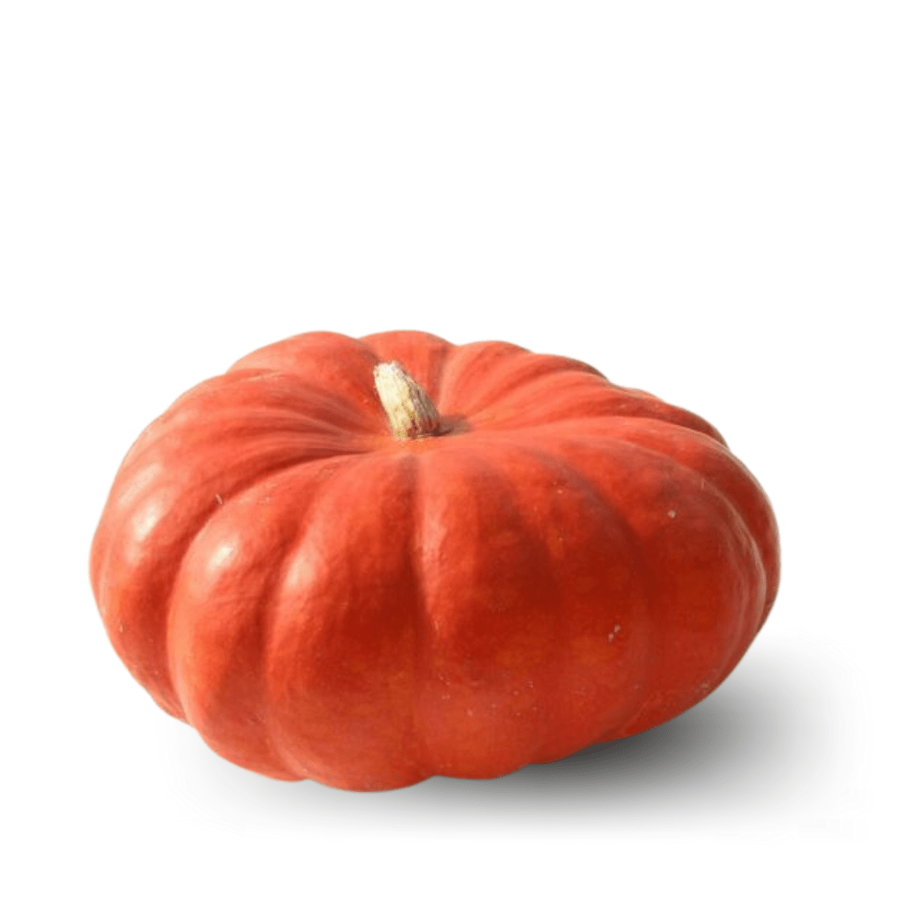 Pumpkin Rouge VIF Seeds (Halwa Kadu) &ndash; Flat Round & Deep Orange