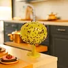 Fruit Fly Trap Killer Fruit Fly Catcher Drosophila Trap for Outdoor Garden Patio